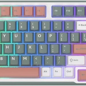 RK ROYAL KLUDGE RKS98 Mechanical Keyboard